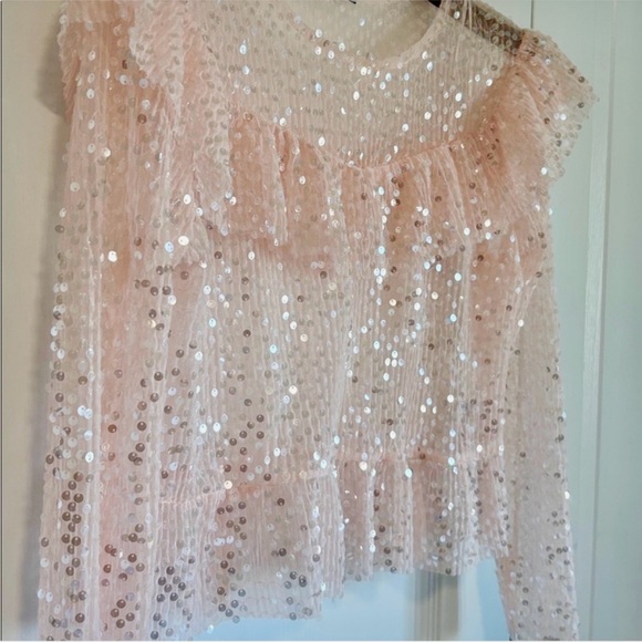 Zara Petal Pink Sequin Ruffle Blouse Medium Party Date Holidays - Picture 3 of 8